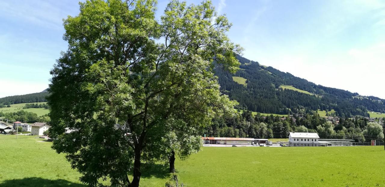 Appartement Sonnentraum Westendorf Eksteriør billede